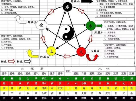 辛金|基础知识︱十天干「辛金」之释义︱特质•契合度•十二支对应性格